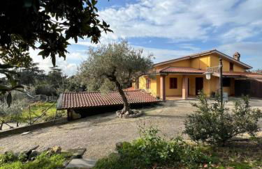 Casa Butterfly Formello - Foto 14