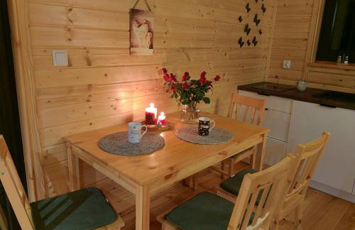 Domki całoroczne DŁUGOSZÓWKA pod Rzeszowem, Jacuzzi-Sauna-Basen-Alpaki - Foto 71