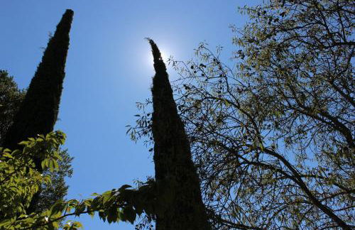 NEW! Gîtes de Charme au Mas de Soleil - Foto 79