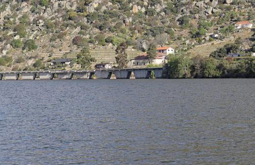 Quinta da Ferradosa Wines - Foto 30