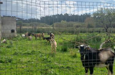 Casa da Padaria - Foto 24