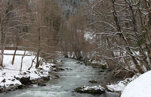 Châlet 8 personnes + grand terrain et rivière - Foto 18