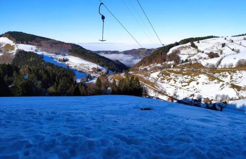Ferienwohnung Schwörer bis 7 Personen - Foto 29