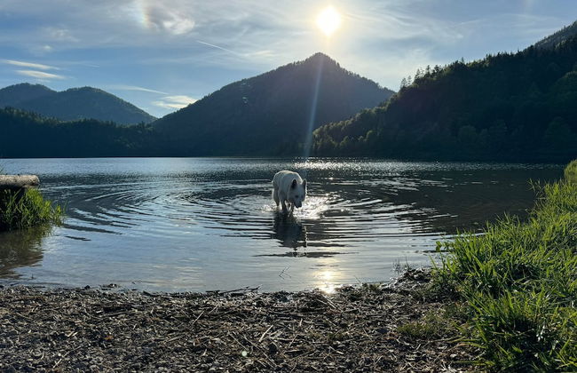 Cabaña Nuisuni - Foto 4