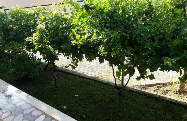 Kastel Stafilic Comfortable Apartments - Foto 21