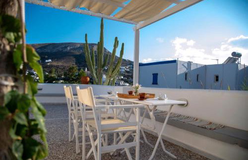 Argo-studios - Foto 67