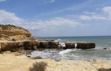 Jeannie's Oura Estrela - Foto 36