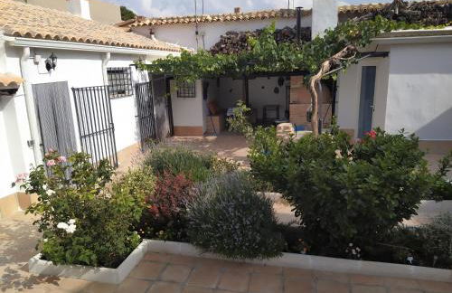 Casa Eufemia - Campo de Criptana - Foto 17