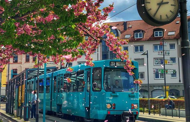 Visite de Francfort : Visite du centre historique - Photo 1