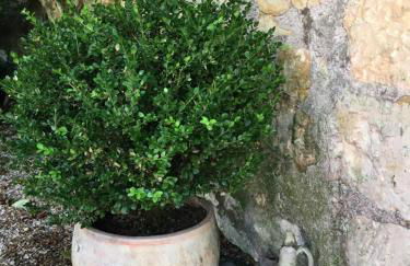 maison bohème - Photo 35