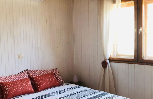 Hamlet's Friends - Foto 9