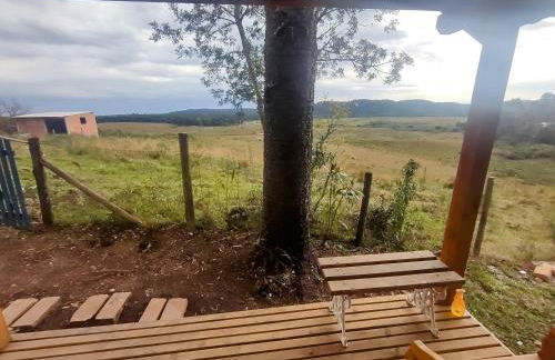 Na'raucária - Foto 17