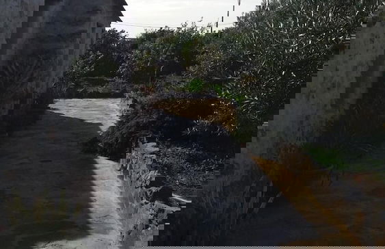 Agroturismo La Gayria - Photo 29