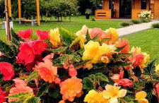 Mużakowski Zakątek - Foto 44