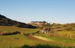 AL - HaoleGuestHouse - Photo 11