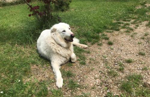 Charmante maison - Foto 39