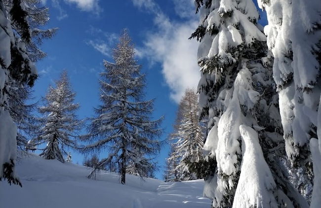 Mascherhof - Foto 38