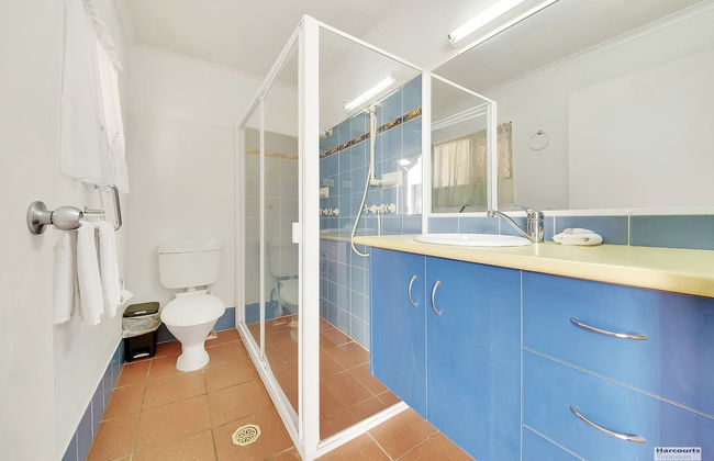 Driftwood On The Beach - Photo 27