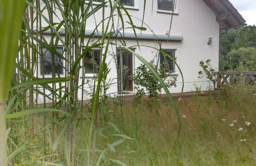 Wald-Apartment - Foto 19