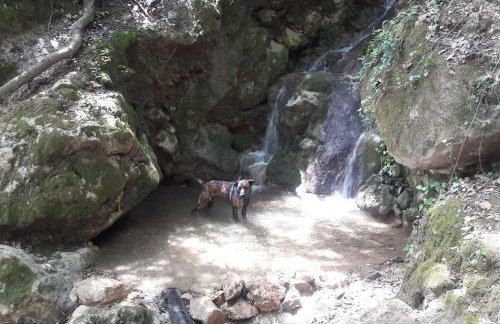 Little Penthouse with Open Terrace - Photo 30