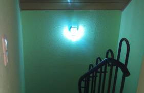 Ferienhaus Bornscheuer - Foto 52