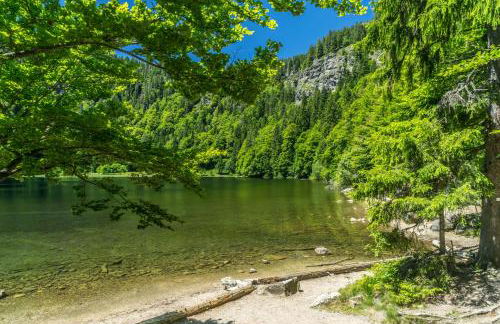 Ferienwohnung Seeblick Nr 2 5-Zimmerwohnung - Feldberg Bärental - Foto 17