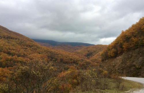 Petrini Gonia - Foto 44