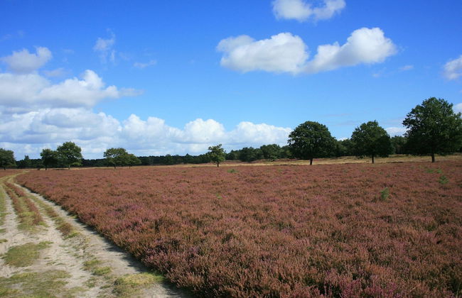 Chalet Near Eindhoven in a Green Oasis - Photo 24