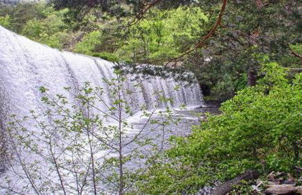 Alojamientos la Abuela - Foto 23