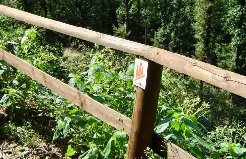 Ferienwohnung im Naturpark Rhein-Westerwald - Foto 21