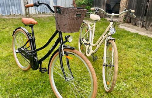 Scheune Zauchwitz - Foto 38