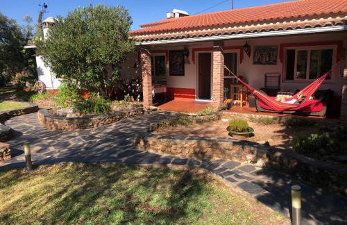 Monte do Rei Santo - Foto 5