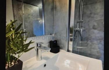 Duplex,centre Croix Rousse avec parking - Foto 12