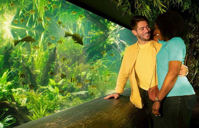 Entrada al Sea Life London - Foto 3