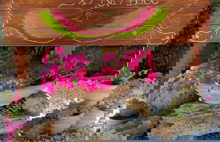 Buen Camino SSA - Foto 3