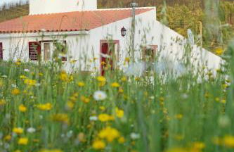 Casas de Campo de Vale de Junco - Foto 35