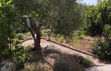 Apartman Žeravica - Photo 2