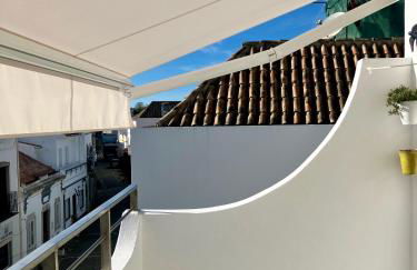 Peixe Agulha - Foto 10