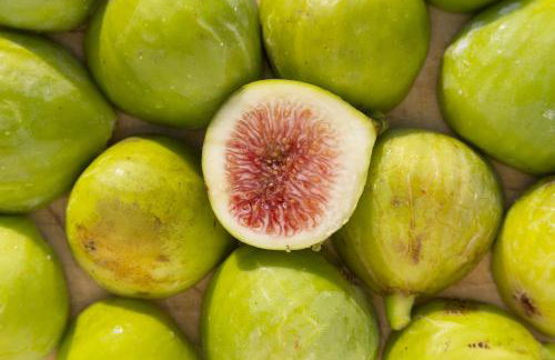 Modern Oceanview - Foto 35