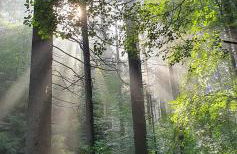 Sonniges Eck Ferienwohnung 1 - Foto 23