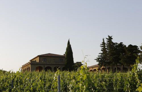 Agriturismo Poggio al Tufo - Foto 51