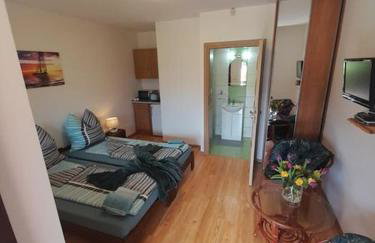 Apartamenty Pod Debem (Ferienwohnungen an der uralten Eiche) - Foto 8