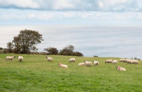 Sea View Farmhouse - Foto 6