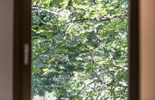 Majordoms - Castell de Villavecchia - 20 pax - Foto 50