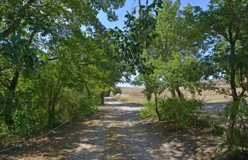 Azienda Agricola Chiarentana - Foto 25