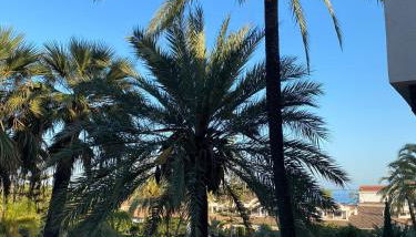 Margarita - Photo 4, Garden view