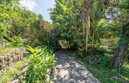 Villetta Sant'Andrea - Goelba - Foto 27