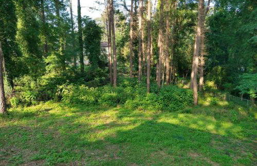 Lovely 2 Story 4 Bedms 3 Baths Home by Stone Mountain Park! - Foto 38