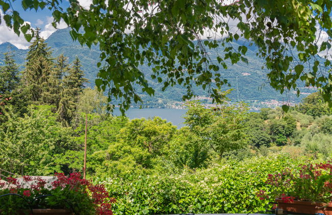 Nel Castagneto - Foto 24