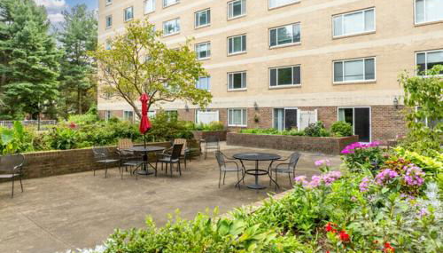 Legacy at Imperial Village 712 I 1 Bed 1 Bath - Foto 5